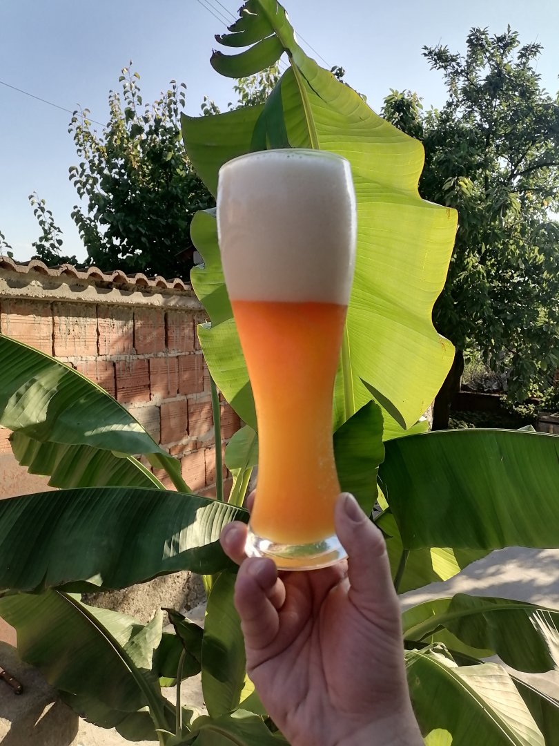 beer recipe photo