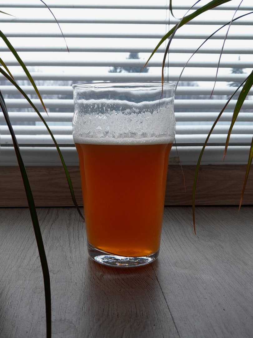 beer recipe photo