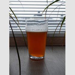 GalaDrEjl.jpg