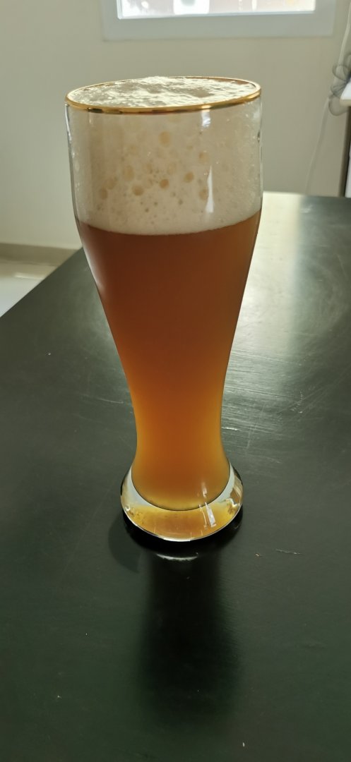 beer recipe photo