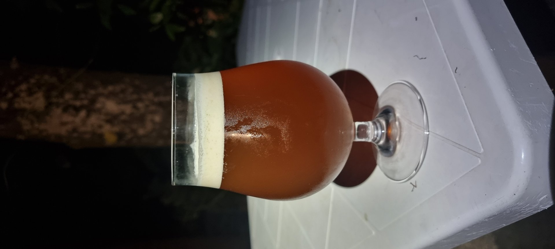 beer recipe photo