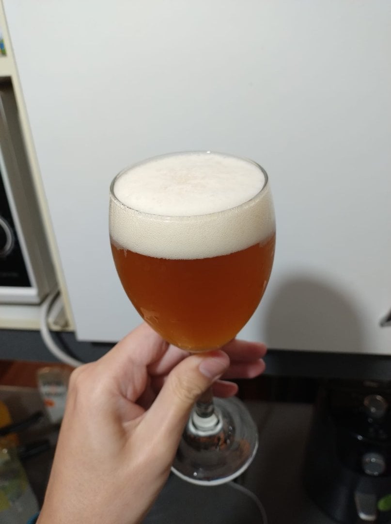 beer recipe photo