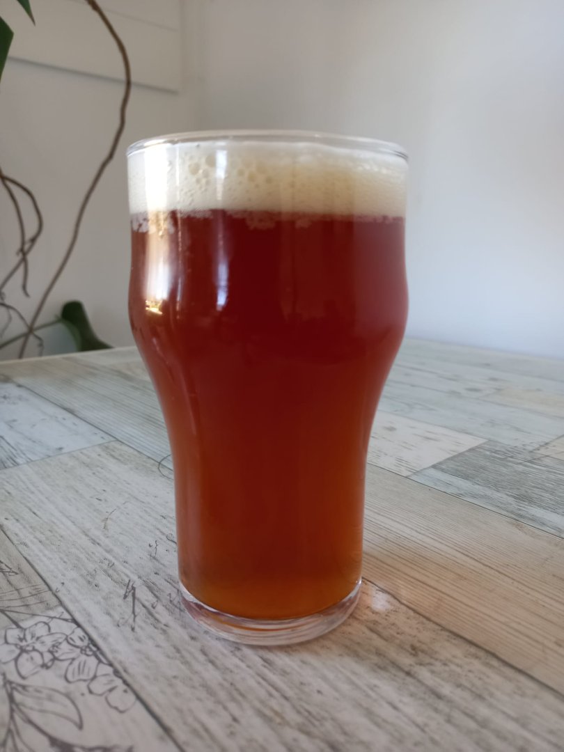 beer recipe photo