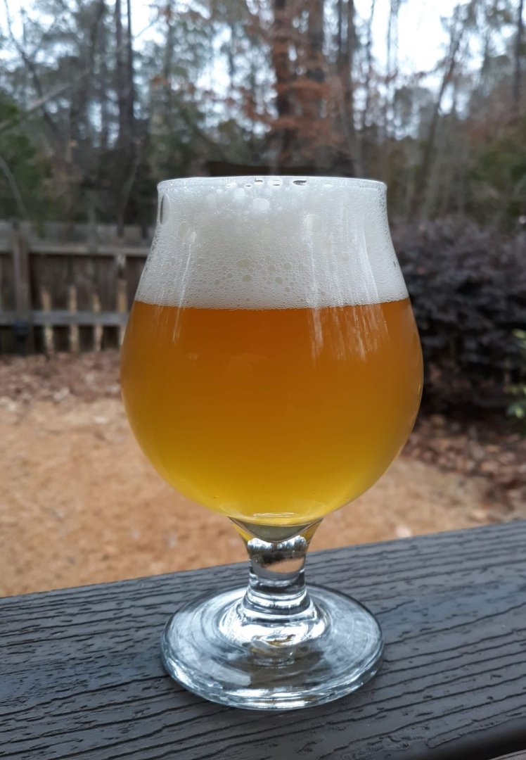 beer recipe photo