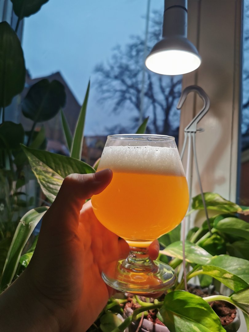 beer recipe photo