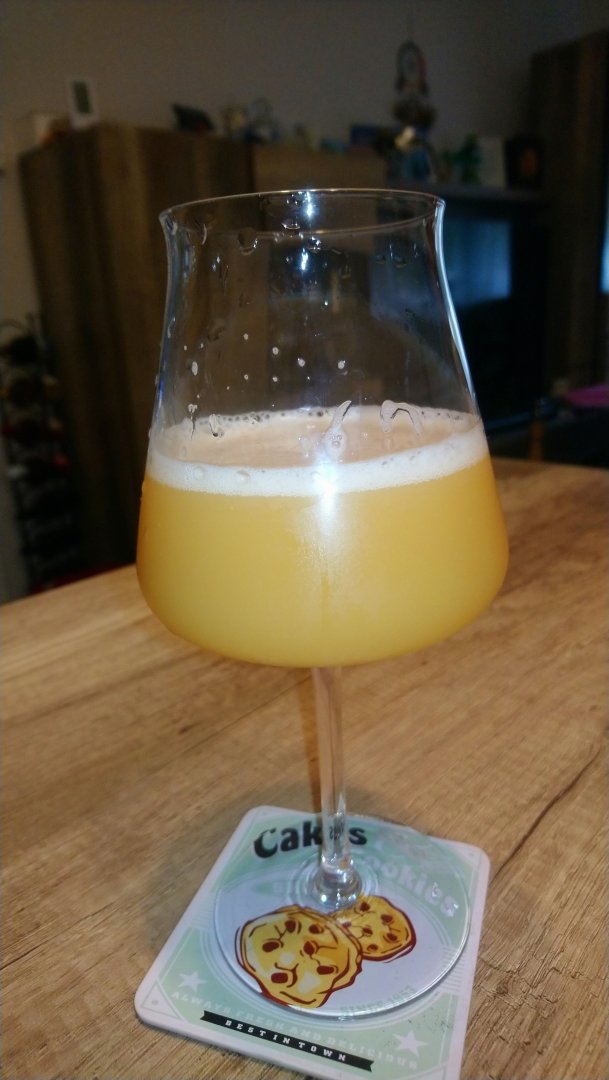 beer recipe photo