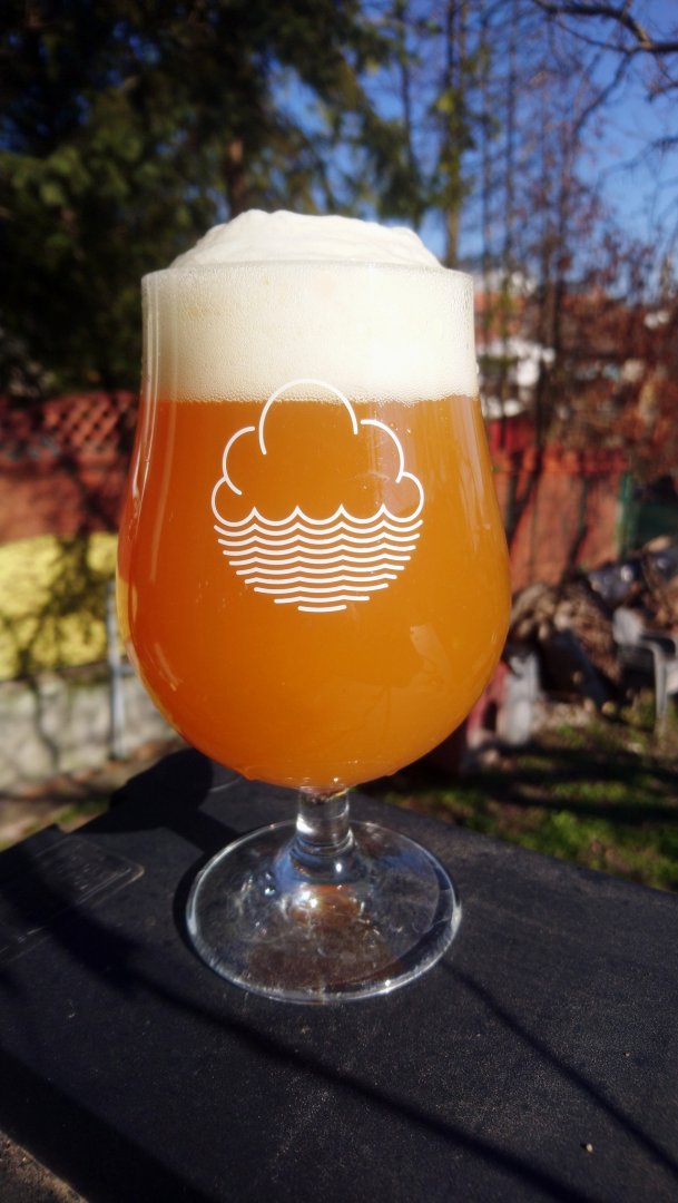 beer recipe photo