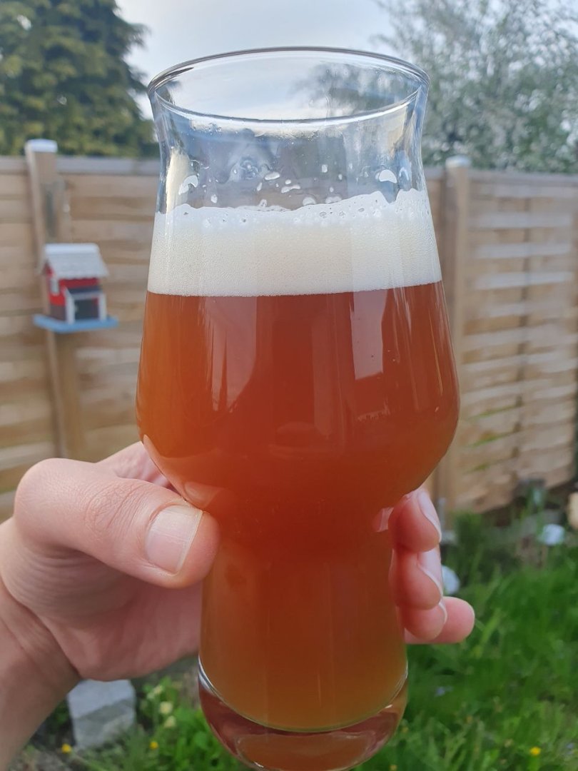 beer recipe photo