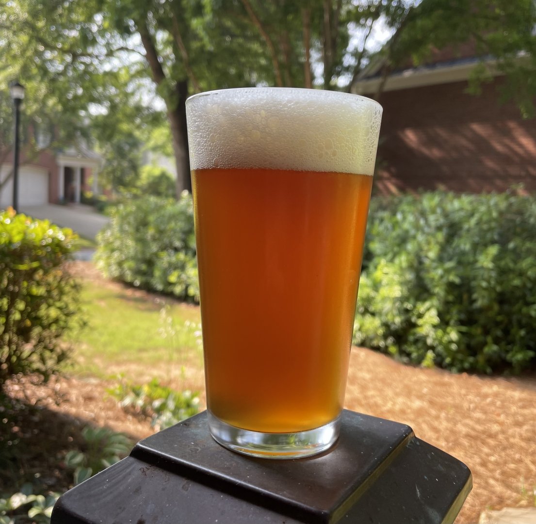 beer recipe photo