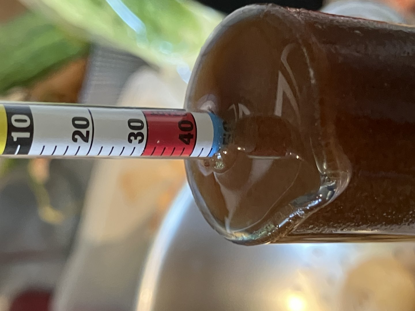 beer recipe photo