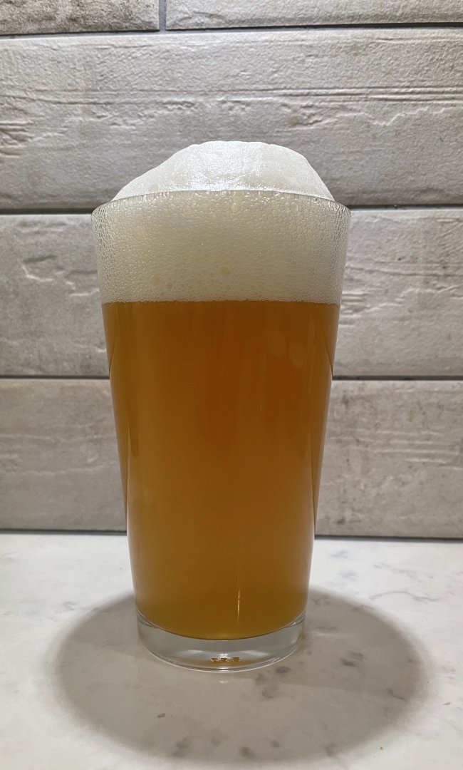 beer recipe photo