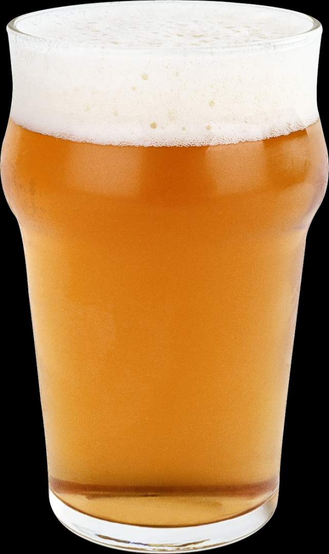 beer recipe photo