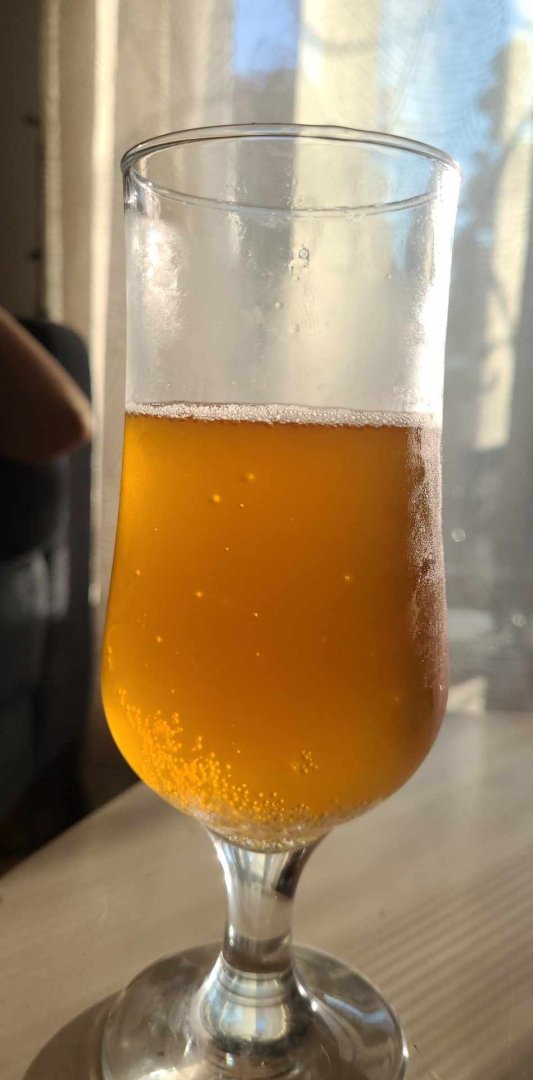 beer recipe photo