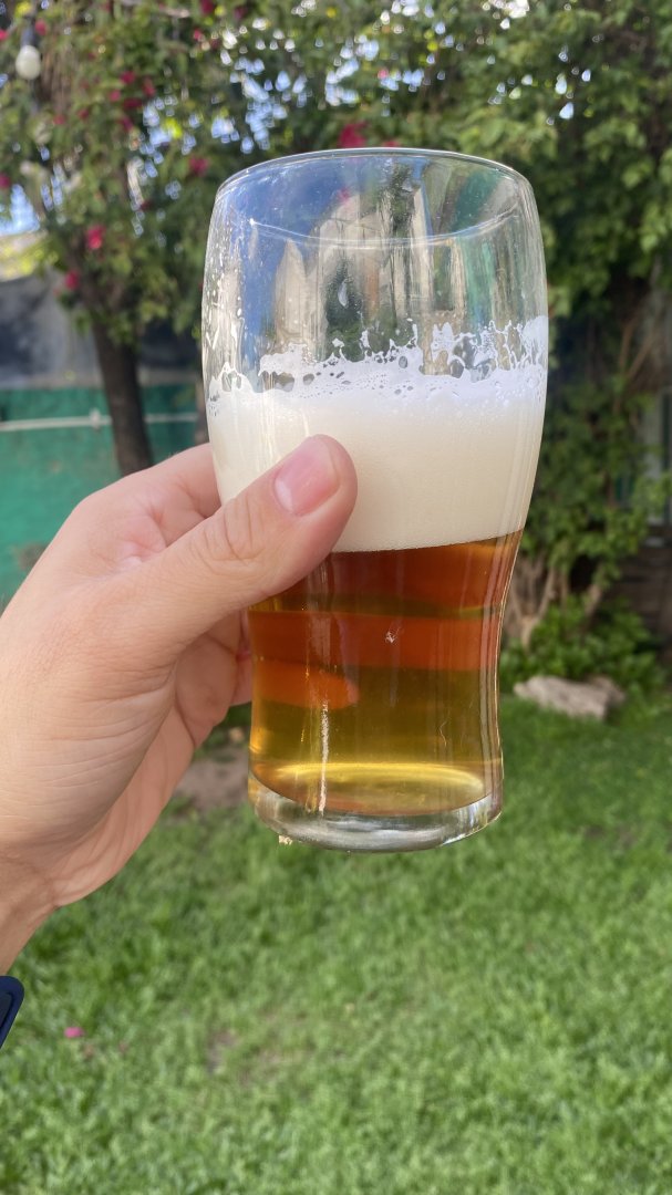 beer recipe photo