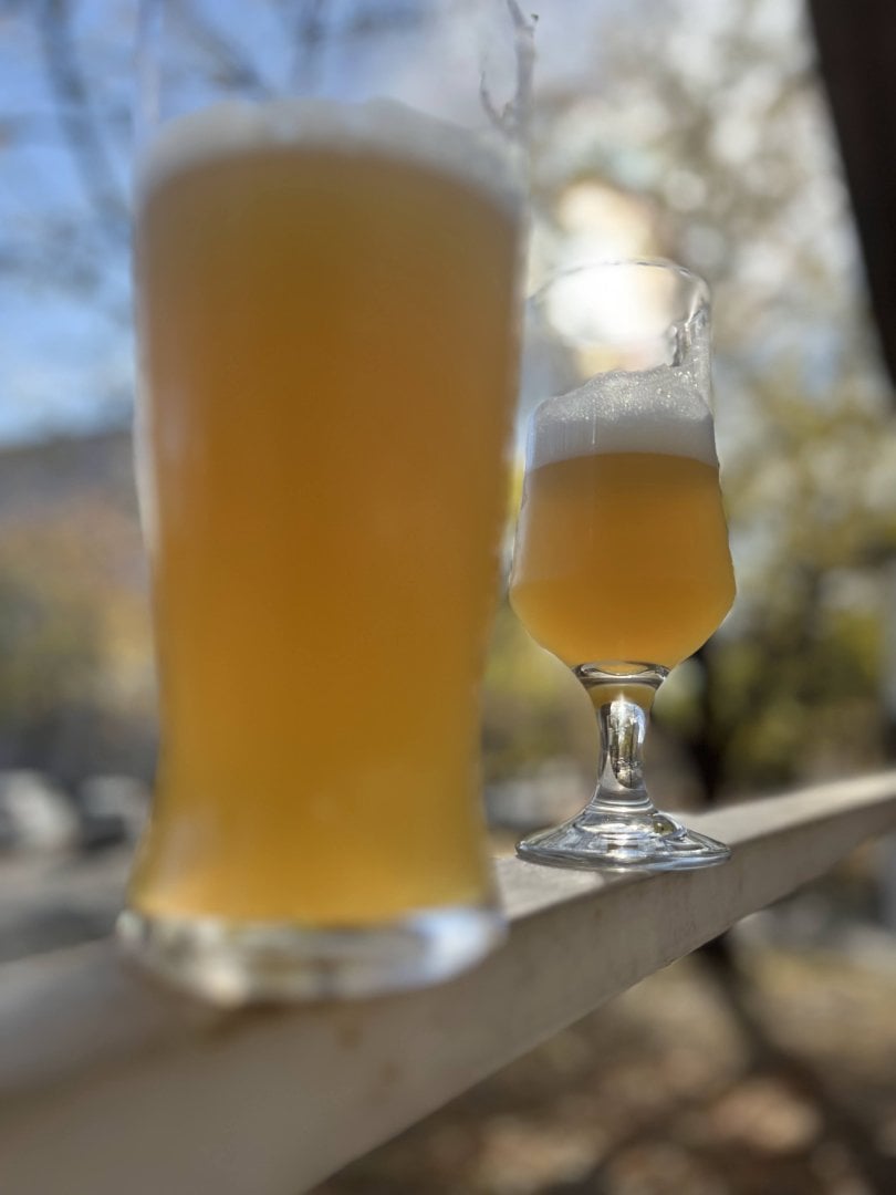 beer recipe photo