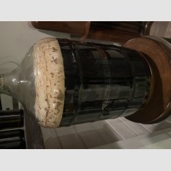 IMG-6022.jpeg
