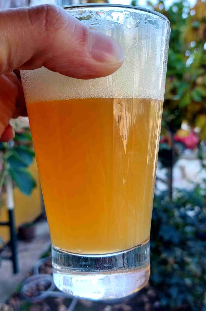 beer recipe photo