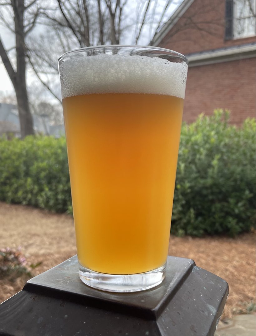beer recipe photo