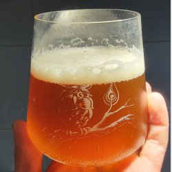 20240513-192055.jpg