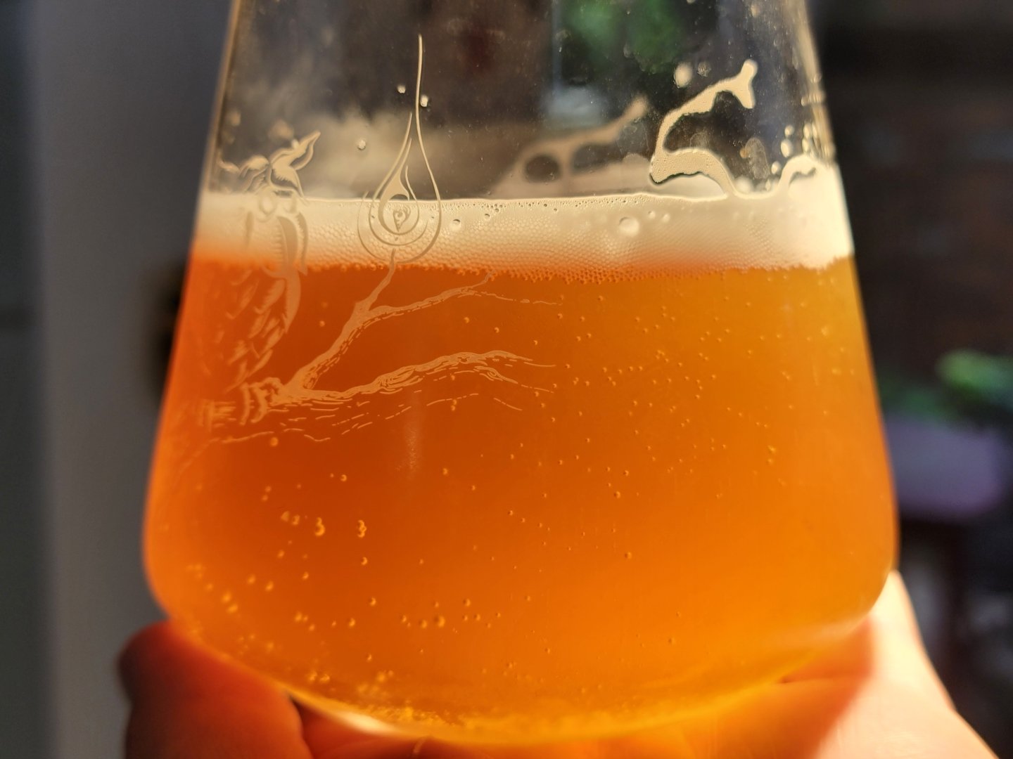 beer recipe photo