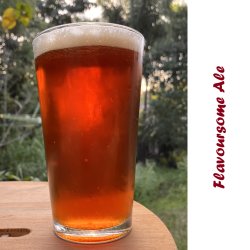 Flavoursome-Ale-square.jpg