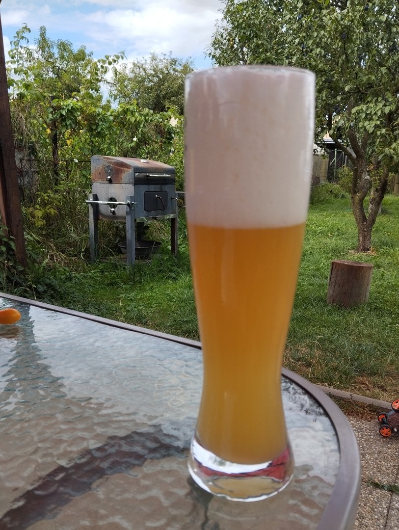 beer recipe photo