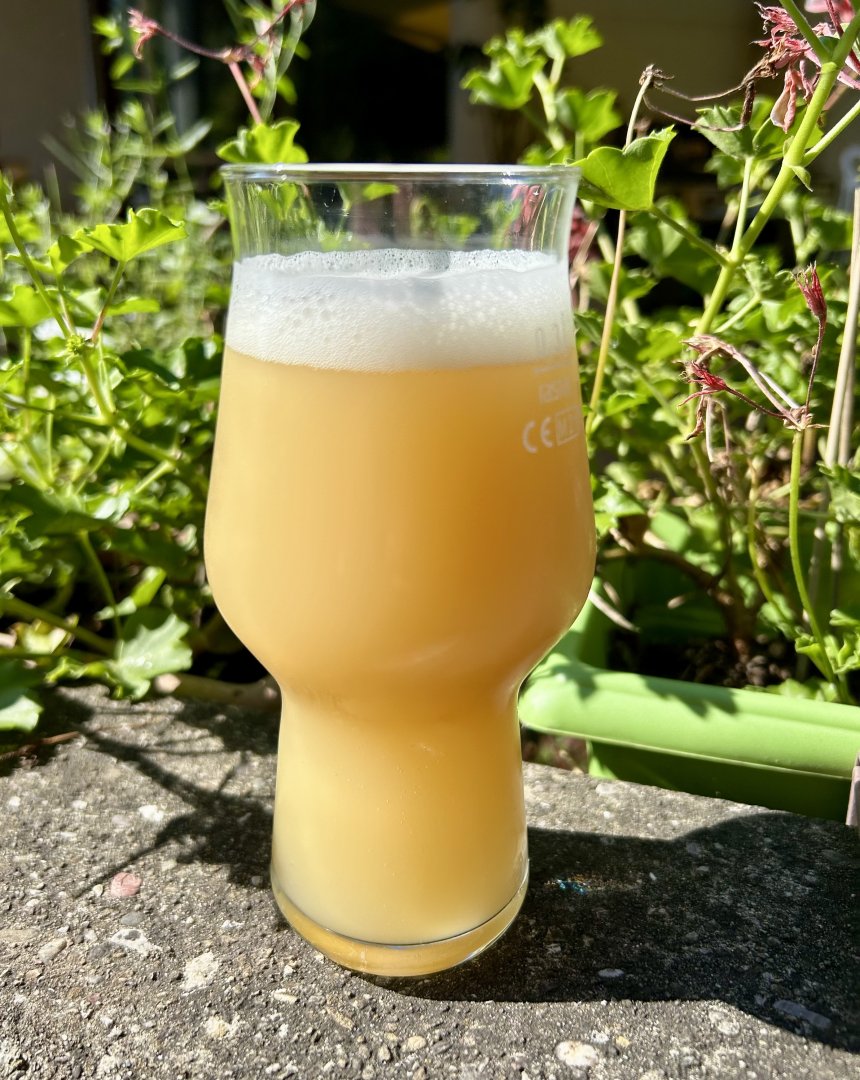 beer recipe photo