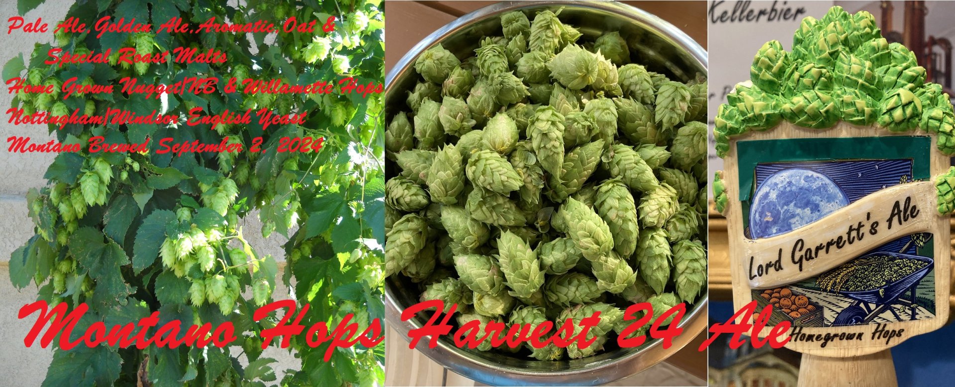 beer recipe photo