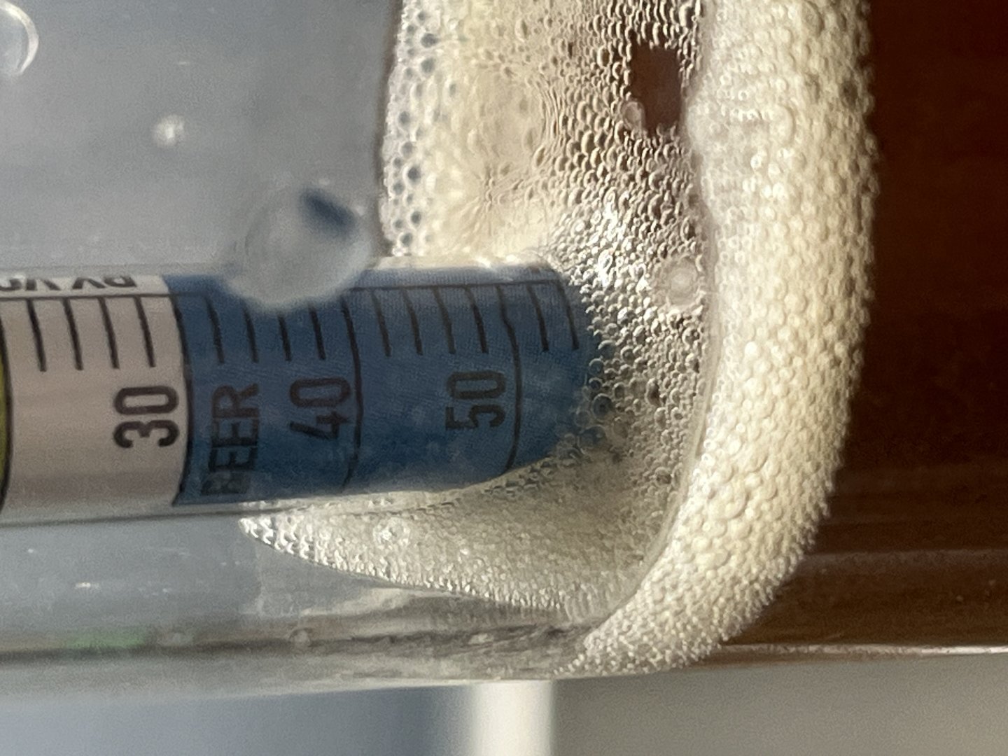 beer recipe photo