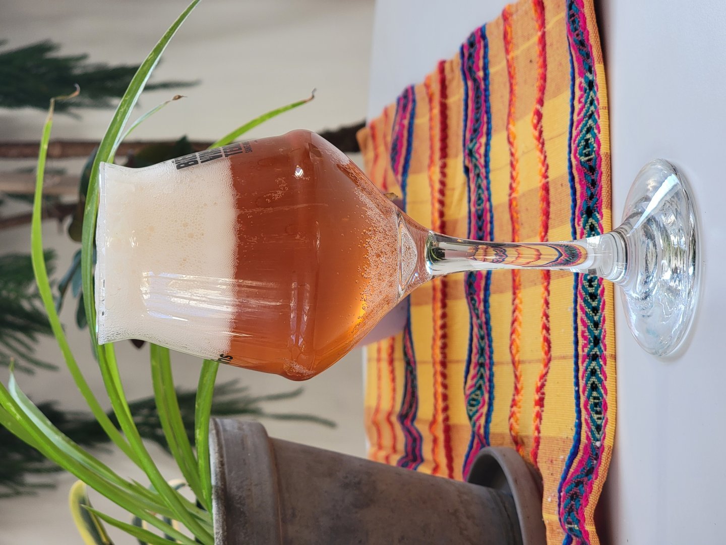 beer recipe photo