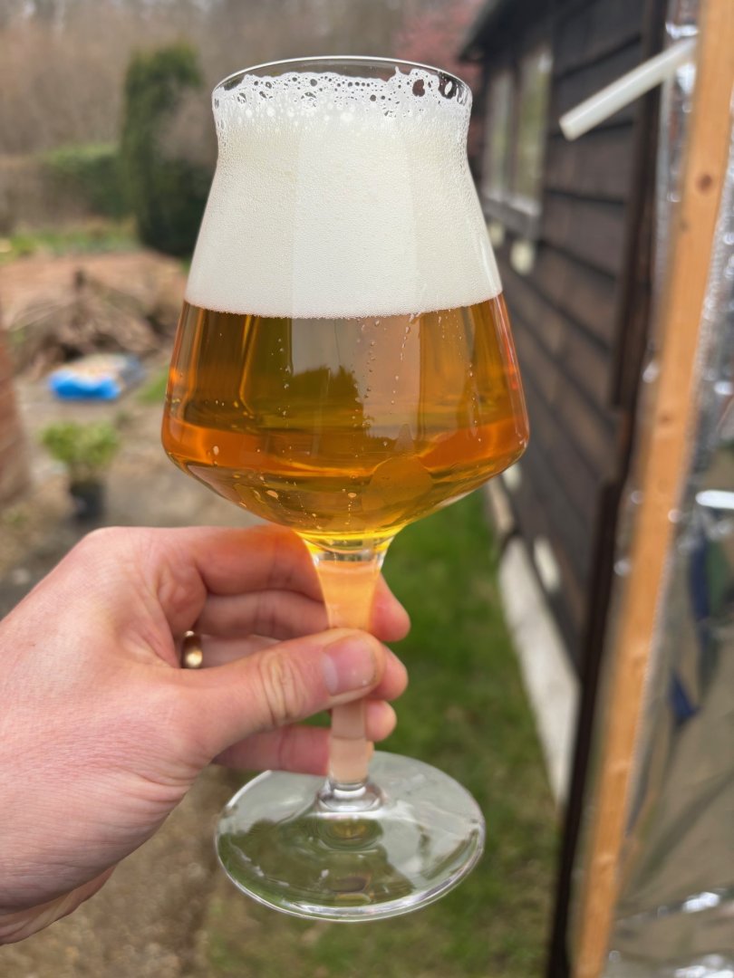 beer recipe photo