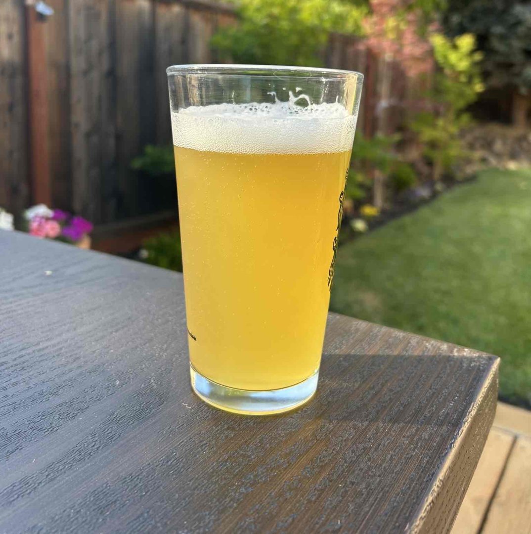 beer recipe photo