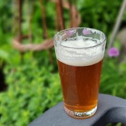 deuchars-ipa--1-.jpg