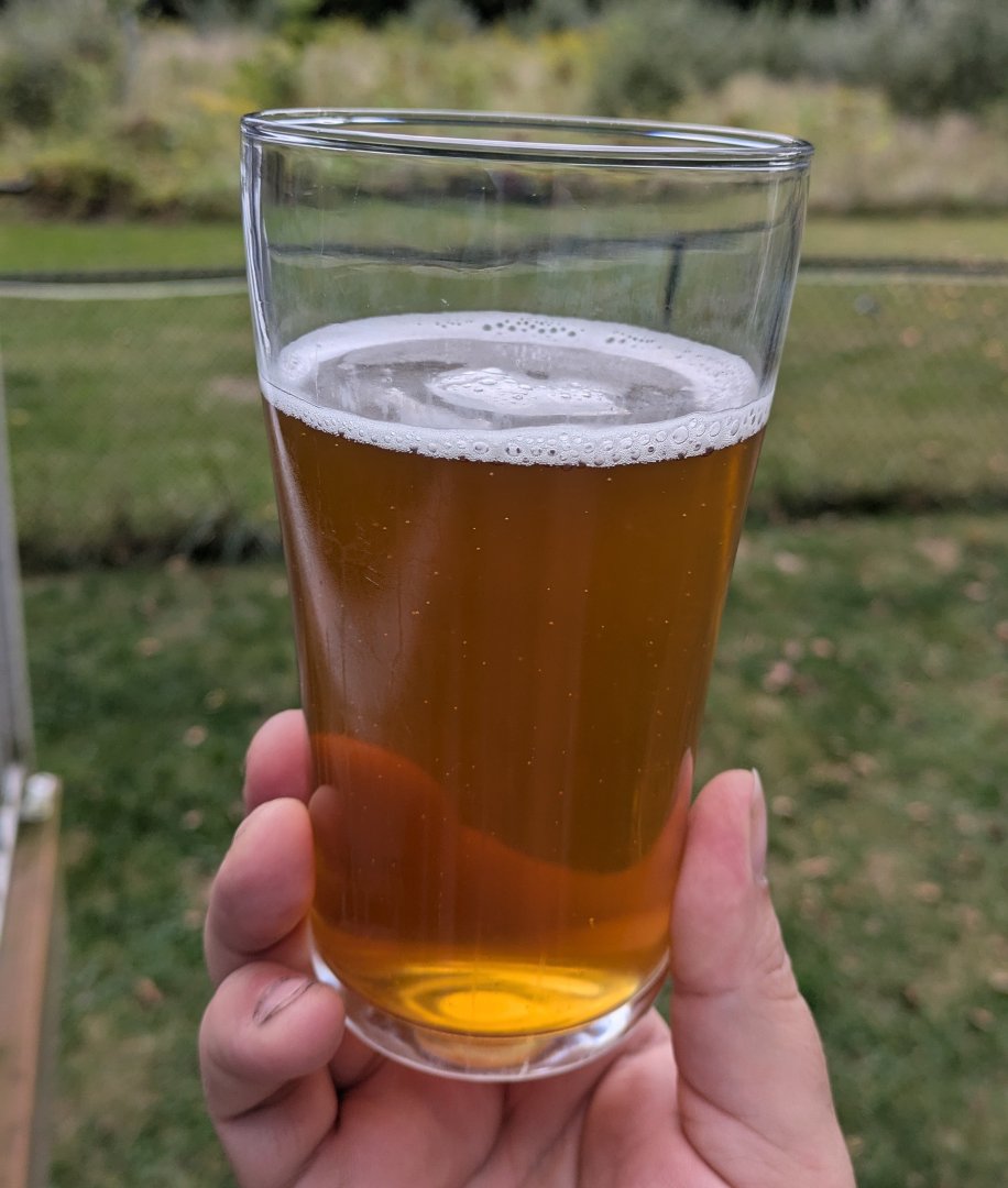 beer recipe photo