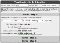 yeast-starter-341.jpg