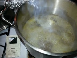 full-boil-with-hops-1040.jpg