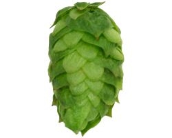 simcoe-1264.jpg