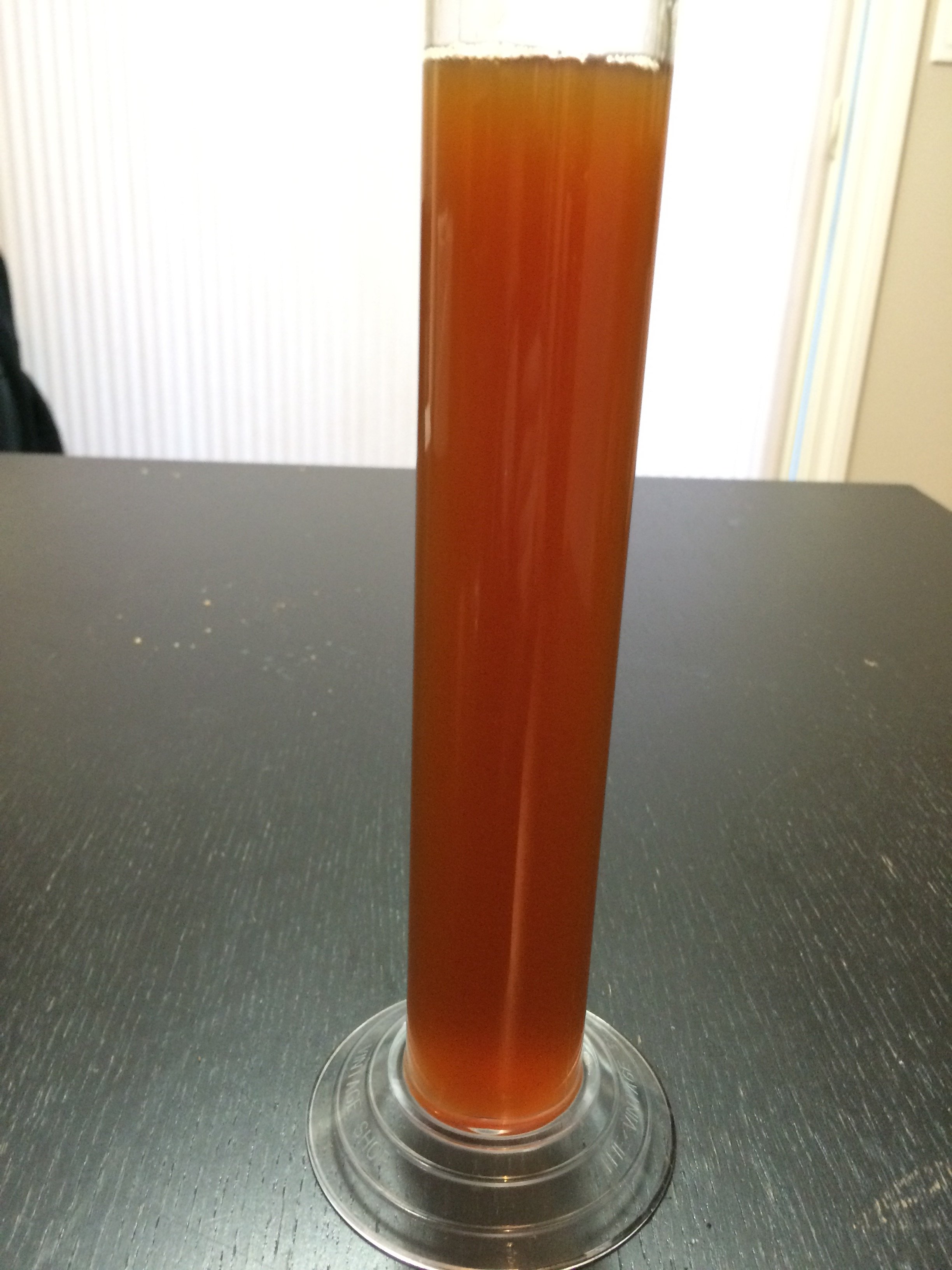 beer recipe photo