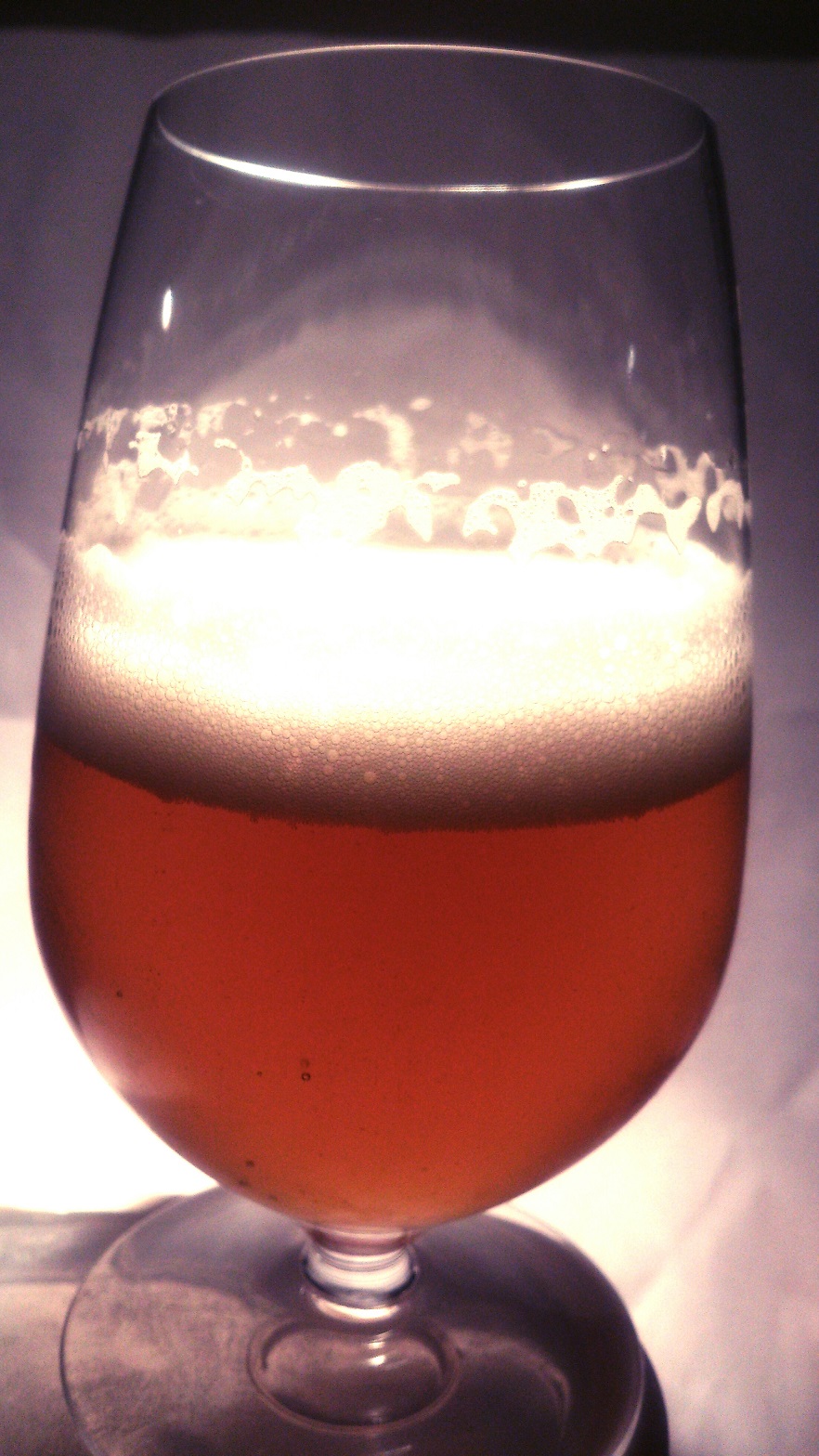 beer recipe photo