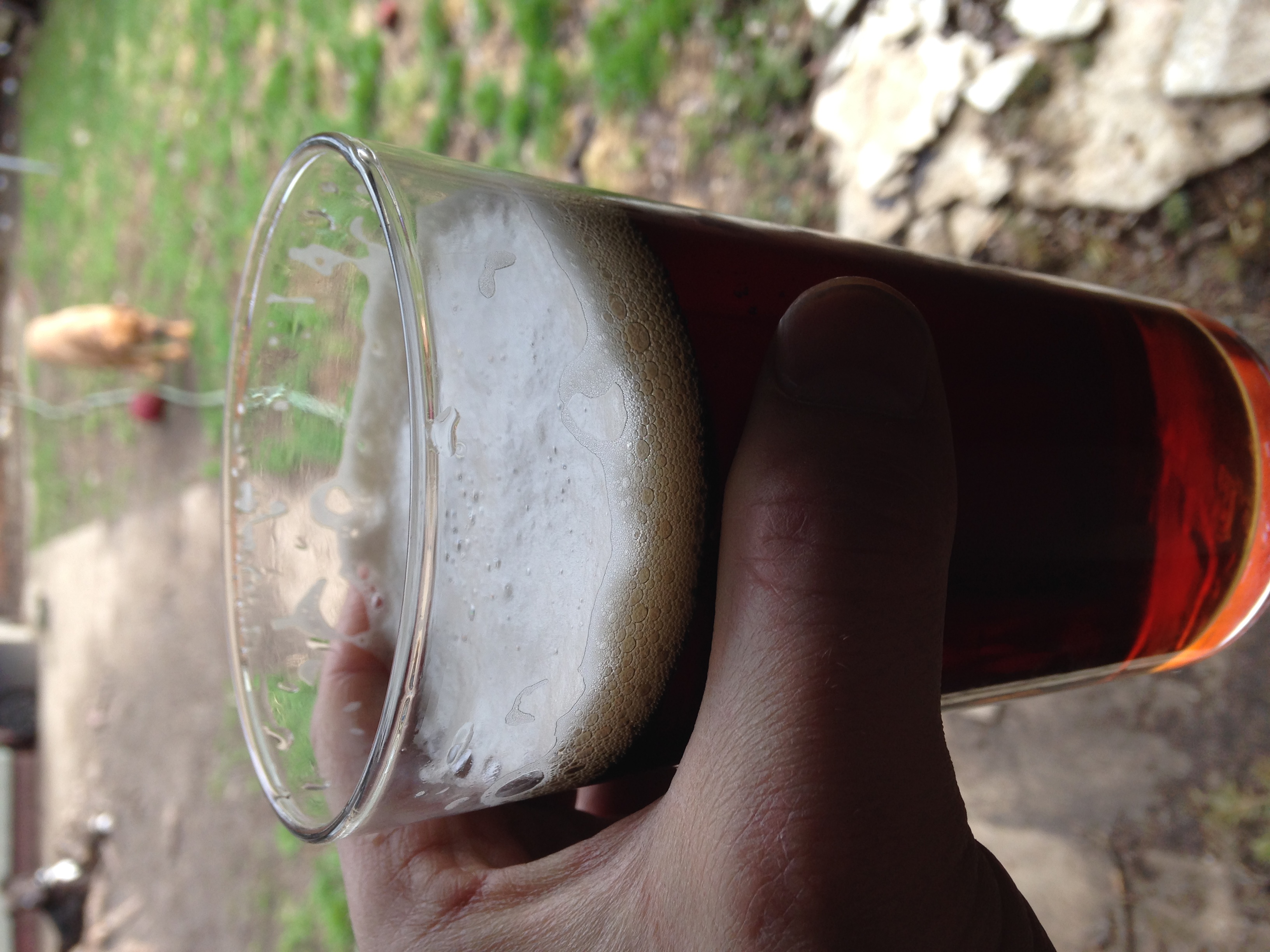 15+ Scotch Ale Recipe