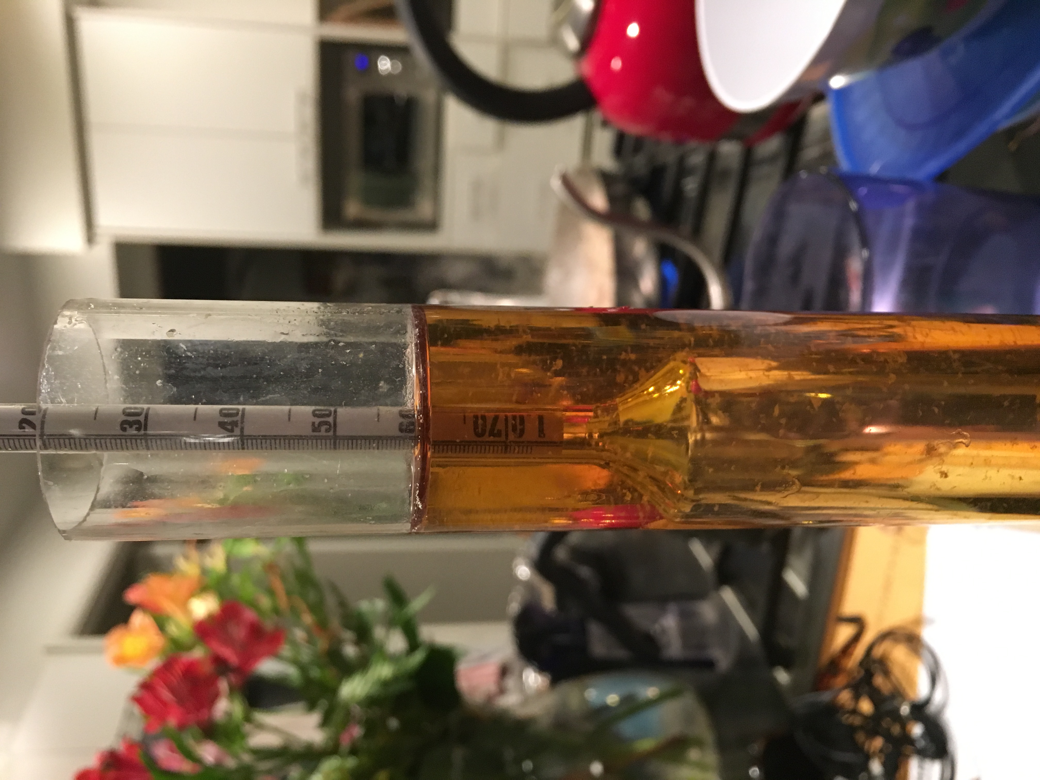 beer recipe photo