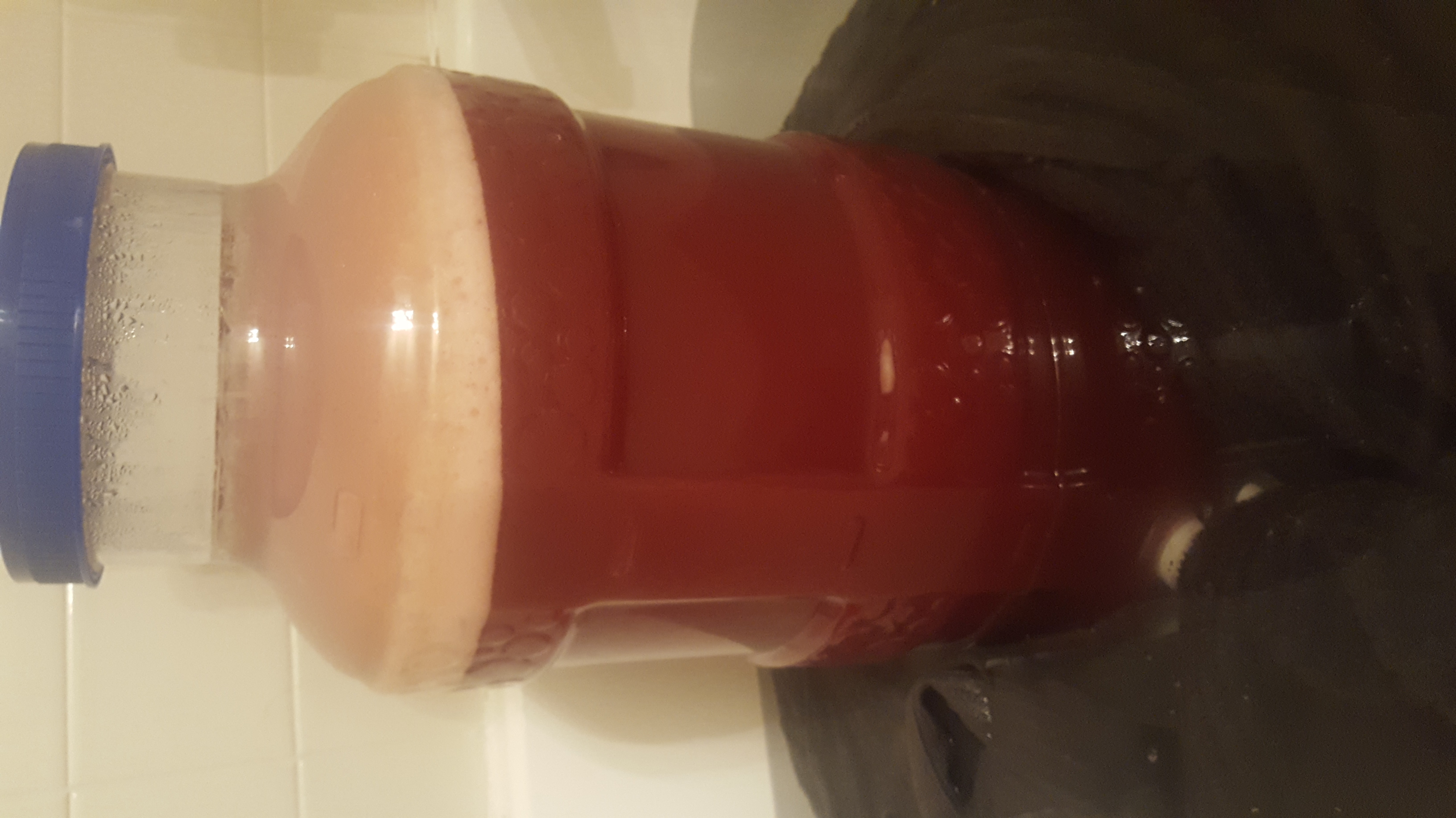 beer recipe photo