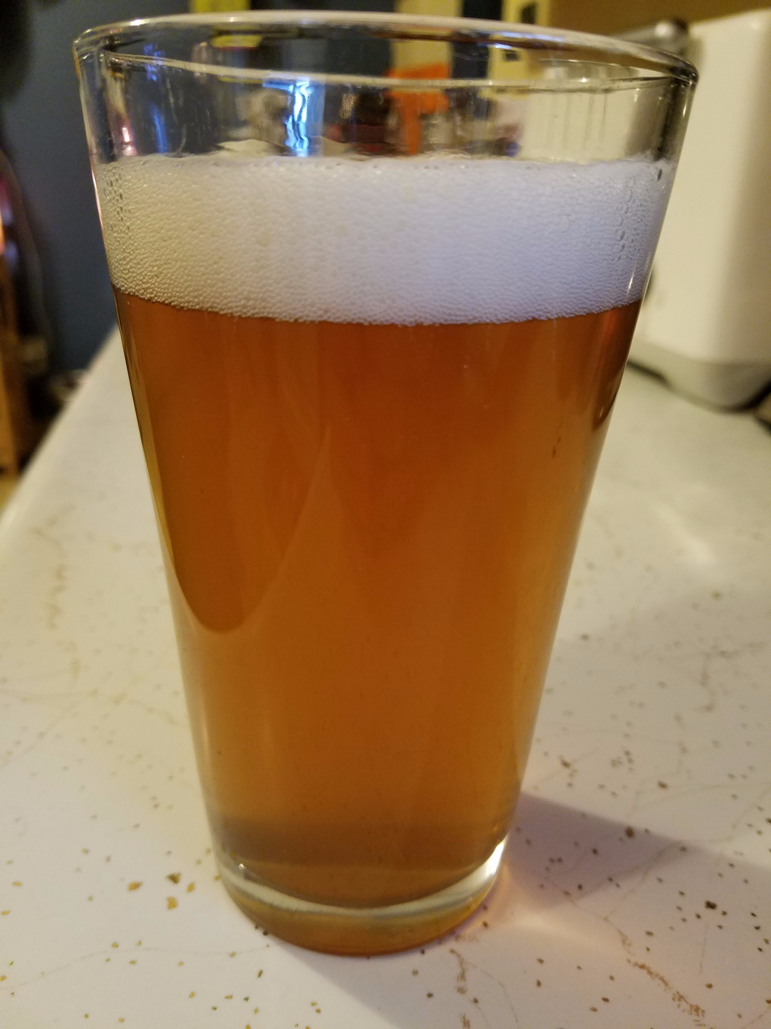 beer recipe photo