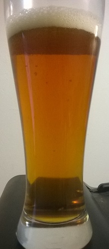 beer recipe photo