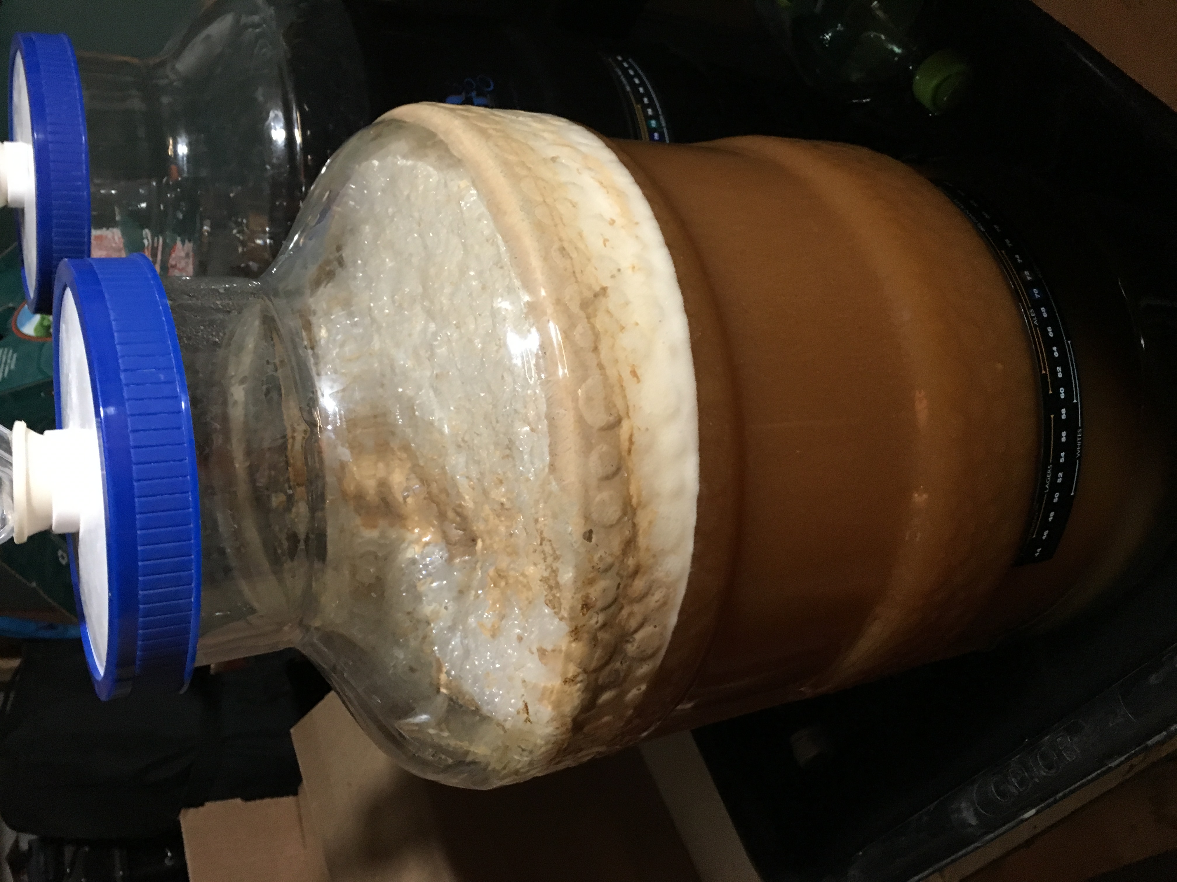 beer recipe photo