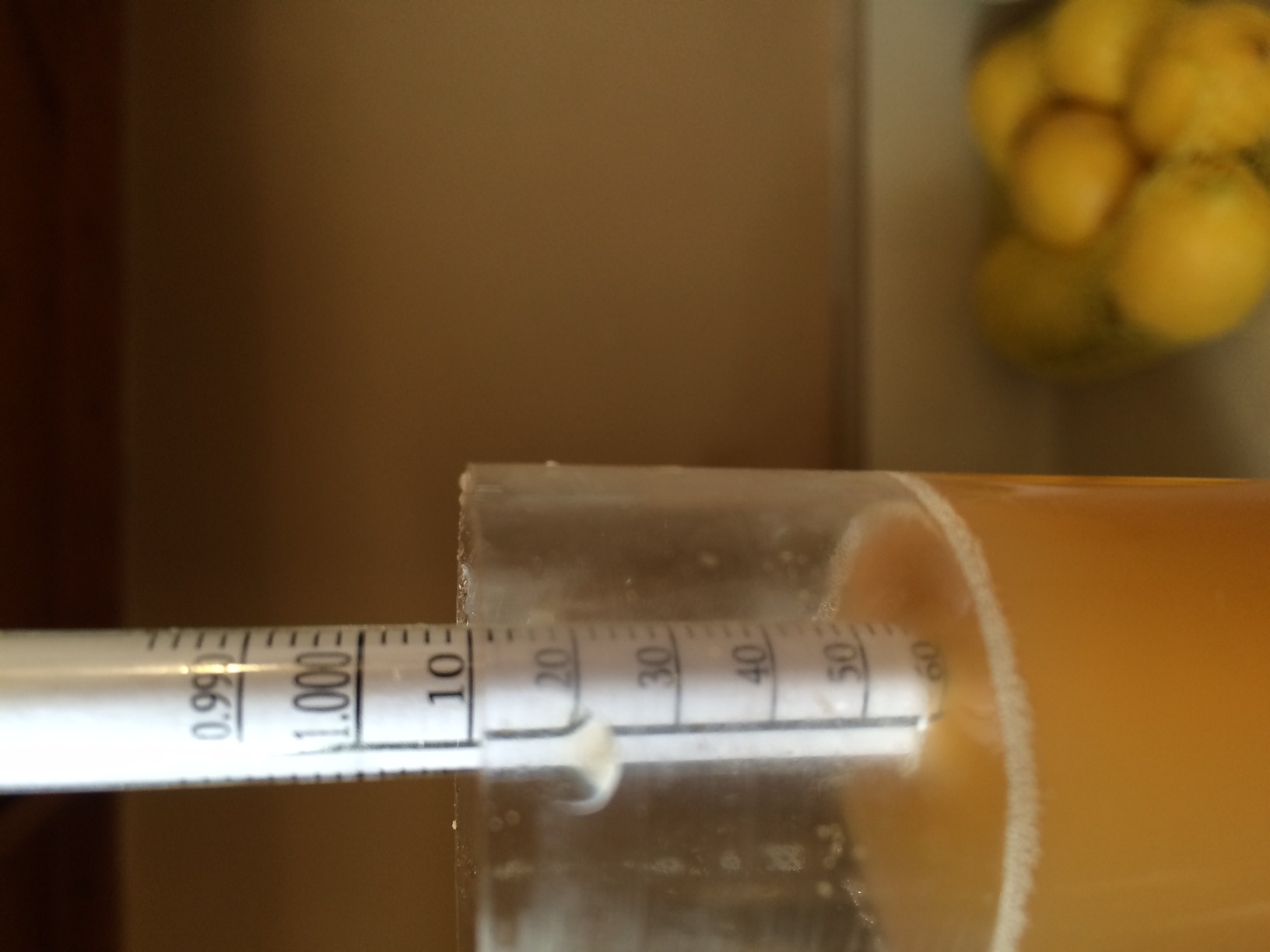 beer recipe photo