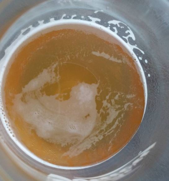 beer recipe photo