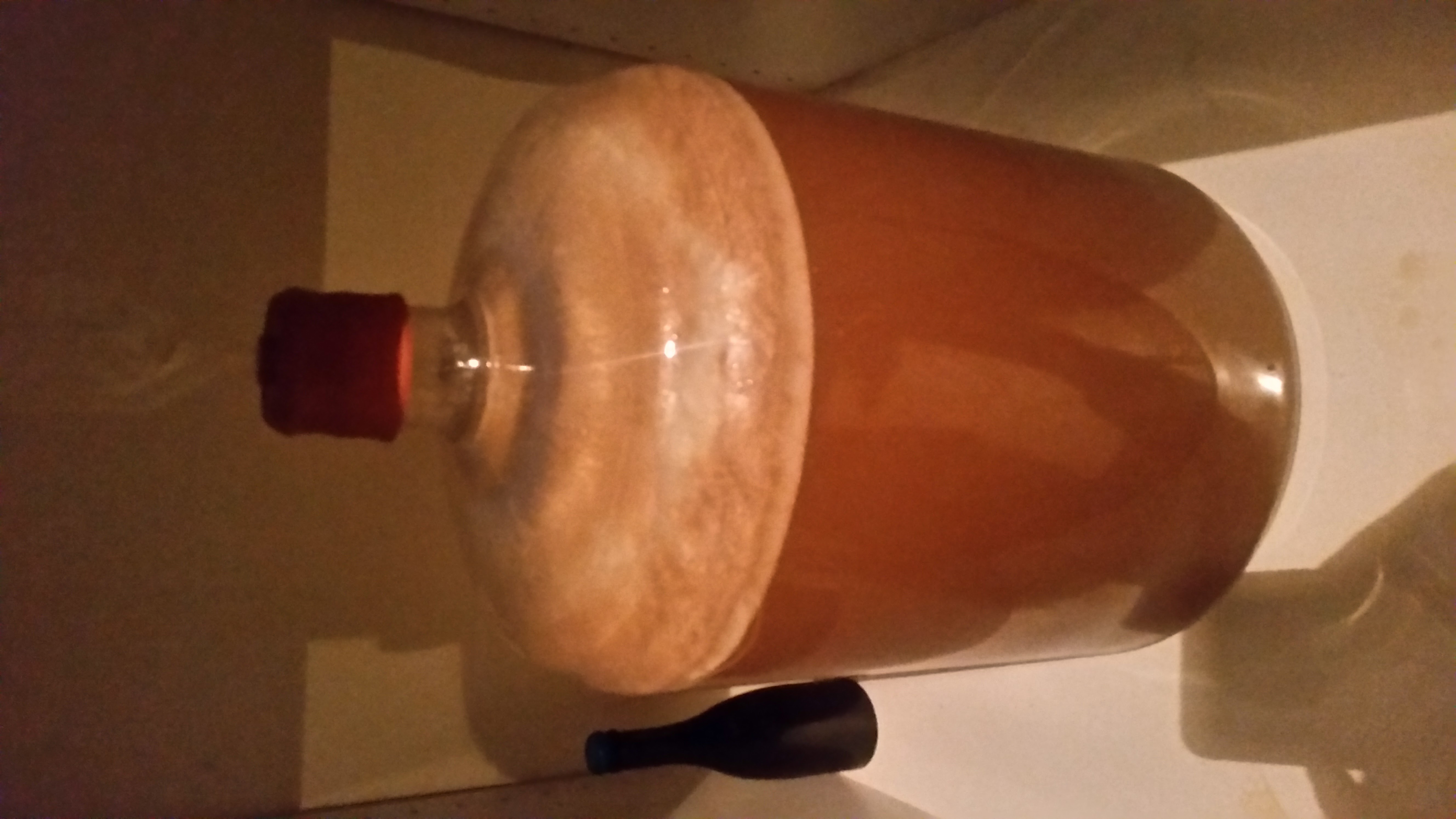 beer recipe photo