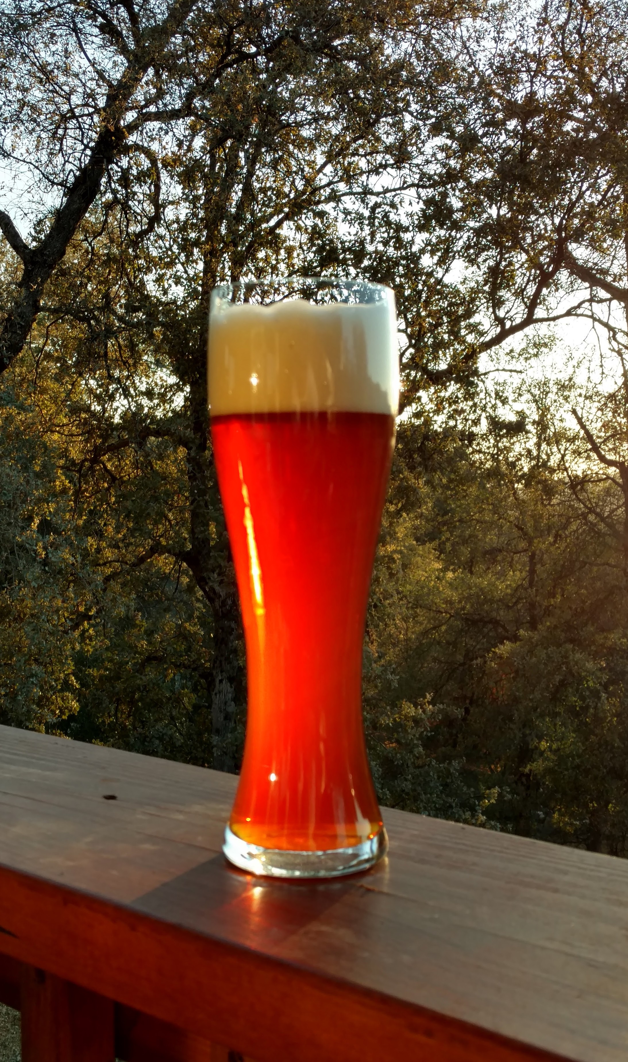 beer recipe photo