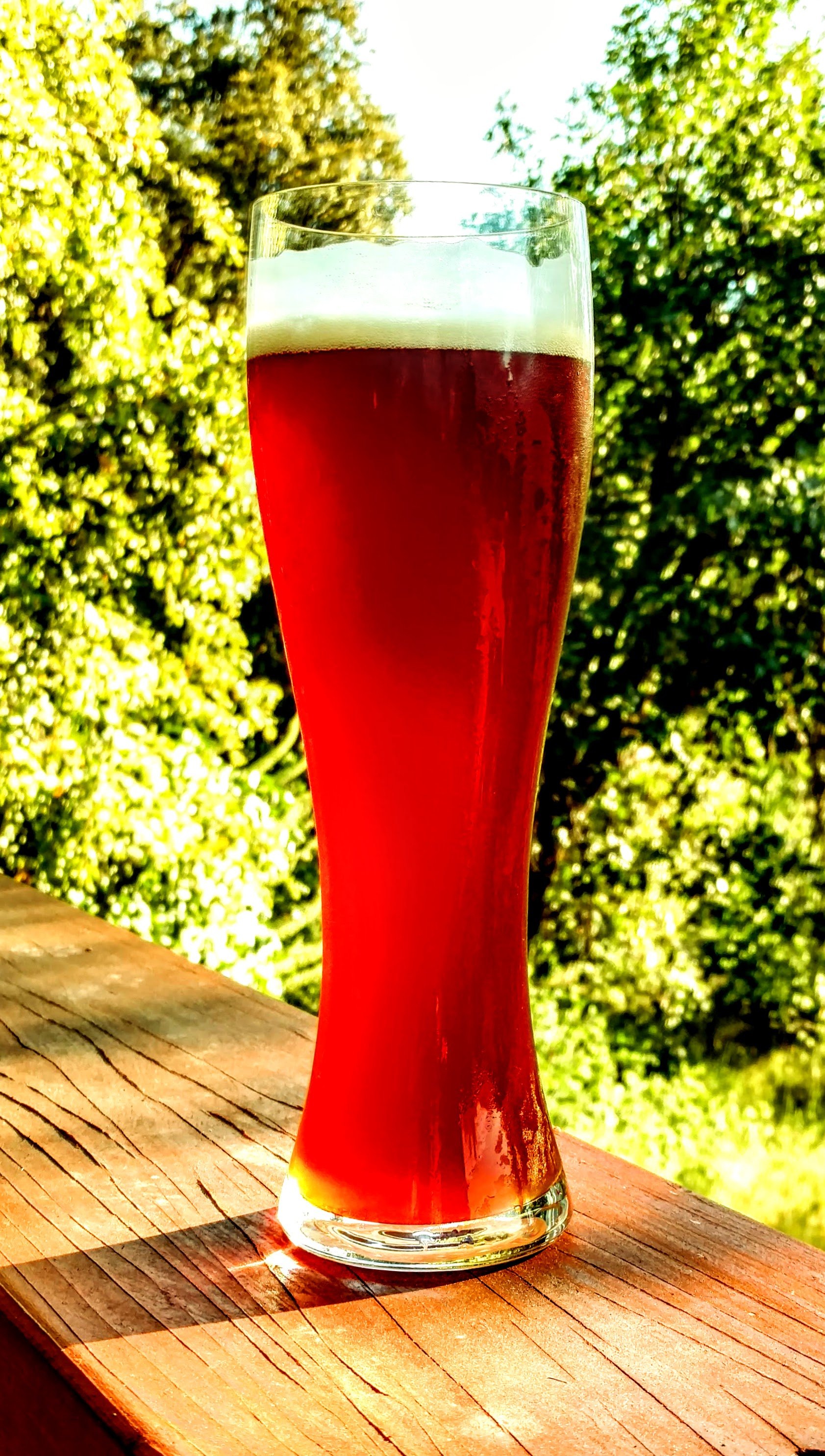 beer recipe photo